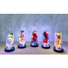 Alvo Store Buğz Işıklı Müzikli Cam Fanus Içinde Romantik Gül