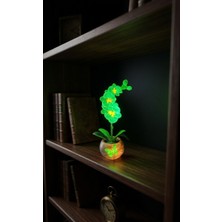 Dalia Viola Karanlıkta Parlayan Mavi Orkide