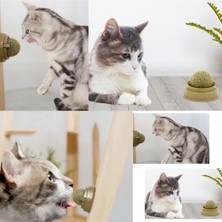 TE Dükkan Buğz Kedi Nanesi Oyun Topu