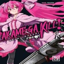 Bilfold Akame Keser 2