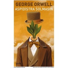 Bilfold Aspidistra Solmasın