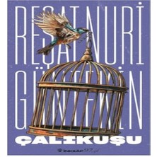 Belirtilmemiş Çalıkuşu (Yeni Kapak)