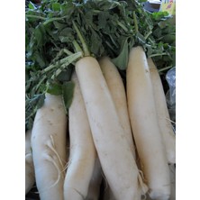 Braventa Collection Erdem Garden Doğal Ithal Japon Turpu 100 Ad. Tohum