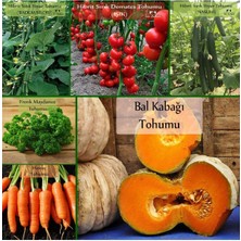Braventa Collection 6 Paket Tohum No4 Hibrit F1 Salatalık Tohumları Domates - Frenk Maydanozu Tohumu Havuç Tohumu ...