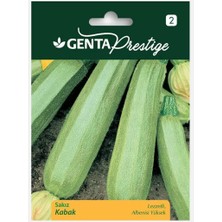Braventa Collection Prestige Sakız Kabak Tohumu Sebze Tohumu
