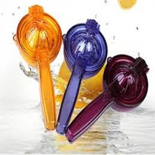 Indispensablely Bager Carina Limon Presi