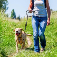 Alfa Life Marketing Evcil Hayvan Fitil Gezdirme Tasması 8 mm x 120 cm