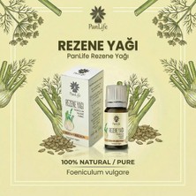 Panlife Rezene Yağı 10 ml   %100 Saf Analiz Sertifikalı  ( Markamız Eczacı Kuruluşudur.)