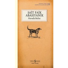 Binbir Göz Kitap Havada Bulut (Şömizli)