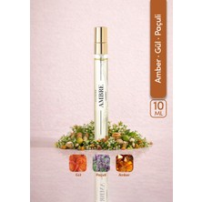 ILLUSIONE Ambre EDP Kadın Seyahat Boy Parfüm 10ml | Amber-Paçuli-Gül | Bergamot, Sedir, Karanfil, Vetiver