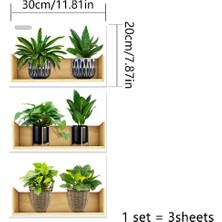 VeraGlobe Buğz Raflı Bitki Tasarımlı Yapışkanlı Sticker 20*30 cm 3lü Set