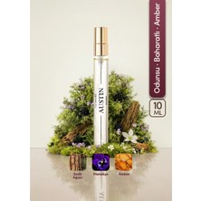 ILLUSIONE Austin EDP Erkek Seyahat Boy Parfüm 10ml | Odunsu-Baharatlı-Amber | Erik, Sedir, Paçuli, Misk