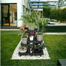 Nuvvo Ahşap (Çam) Siyah Renk 4 Katlı Bitki Standı, Kilitlenebilir Tekerlekler + Mini Bahçe Seti + My