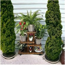 Nuvvo Ahşap (Çam) Ceviz Renk 4 Katlı Bitki Standı, Kilitlenebilir Tekerlekler + Mini Bahçe Seti + My