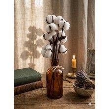 Green Deco Doğal Pamuk Dalı 6 Dal Pamuk Çiçeği