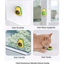 VeraGlobe Buğz Avokado Kedi Nanesi Oyun Topu