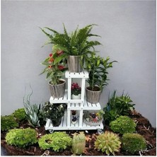 Nuvvo Ahşap (Çam) Beyaz Renk 4 Katlı Bitki Standı, Kilitlenebilir Tekerlekler + Mini Bahçe Seti + My