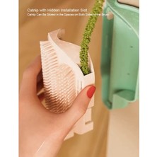 VeraGlobe Buğz Kedi Otu Hazneli Kedi Kaşınma Aparatı