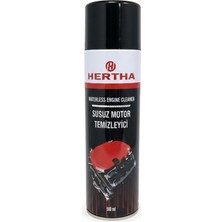 Hertha Susuz Motor Temizleme