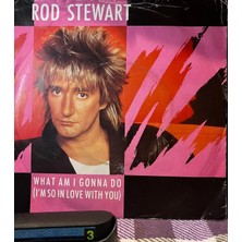 Plakantik Rod Stewart - What Am I Gonna Do (I'm So In Love With You) (1983 Uk Press) 7" Vinyl Single