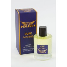 İsmiyle Al Pegasus Dupe Marine  Bay Parfüm
