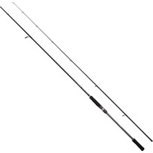 Shimano Bassterra A Seabass 244 cm 6-28 gr Spin Olta Kamışı