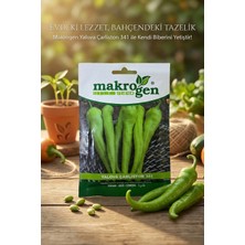 Makrogen Yalova Çarliston Biber Tohumu 25 gr