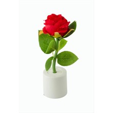 İsmiyle Al Gül Işıklı Biblo 17 cm