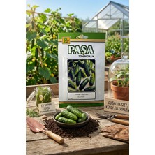 Paşa Tohum Paşa Kornişon Hıyar Tohumu 10 gr