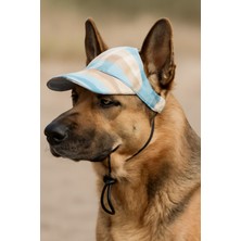 Batik Desenli Çok Renkli Köpek Şapka Üst Giyim Çeşitleri