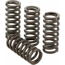 Polini Valve Subap Yayları 4 Adet Vespa Gts 300 228.0132