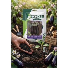Çoker Aydın Siyah Patlıcan Tohumu 25 gr