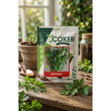 Çoker Maydanoz Tohumu 25 gr