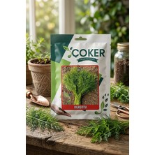 Çoker Dereotu Tohumu 25 gr