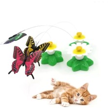 Feyza Design Pilli Hareketli Dönen Kelebek Kedi Oyuncağı Yeşil