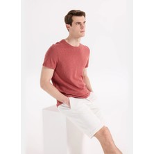 Fabrika Kiremit Erkek Slim Fit Flamlı T-Shirt F6SM-TST 2900