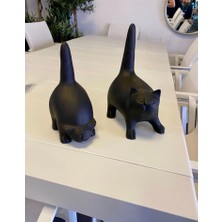 Sunbrella Soyut Kediler