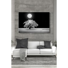 Şehber Yatay Kanvas Duvar Tablosu Tekli Salon Mutfak Yatak Odası Ofis Beyaz Ağaç ve Dolunay