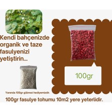 Naz Tohum Alman Ayşe Fasulye Tohumu 100GR + 100GR Gübre (ORT:200 Adet)
