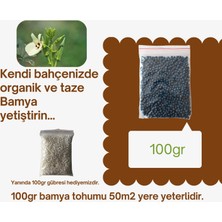 Naz Tohum 100GR Bamya Tohumu + 100GR GÜBRE(ORT:1500)