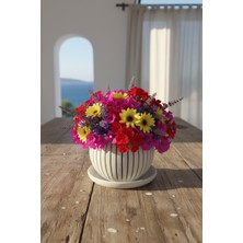 Fılamentim Floranti Verticaline Dekoratif Saksı Modern Seri 115X115X90 mm NO.1027.10.KR-09