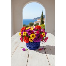 Fılamentim Floranti Lineaura Dekoratif Saksı Modern Seri 135X135X120 mm NO.1026.10.M-03