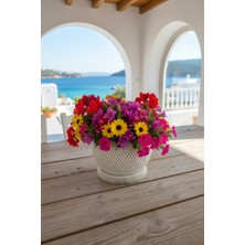 Fılamentim Floranti Diamondmesh Dekoratif Saksı Modern Seri 145X145X120 mm NO.1029.10.KR-09