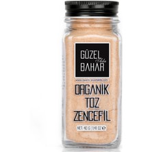 Güzel Ada Gıda Organik Toz Zencefil 40 gr