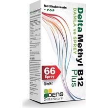Dens Delta Naturel Methyl B12 Plus Methylcobalamin Sprey 10 ml