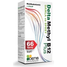 Delta Methyl B12 Plus Methylcobalamin Sprey 10ml
