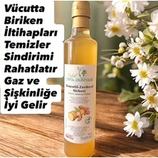 Zencefil Zerdeçal Sirkesi
