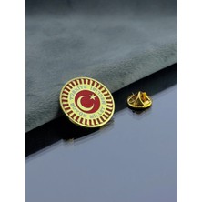 kuyumcudan Tbmm Altın Kaplamalı Gümüş Rozet