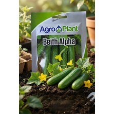 Agroplant Agro Plant Hıyar Tohumu 25 gr