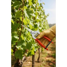 Turgutlar Ince Sap Meyve, Üzüm ve Narenciye Hasat Makası